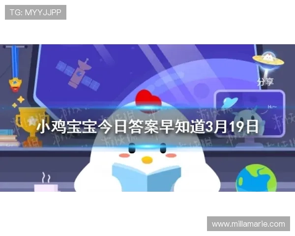 送返水.org，帮助玩家轻松实现资金最大化的专业返水平台推荐